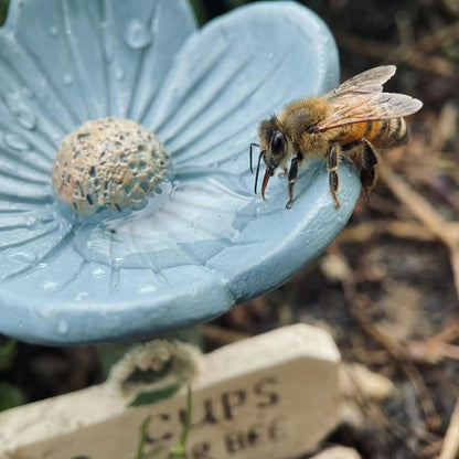 Hjmeta®🐝Flower-Shaped Bee Watering Station💧