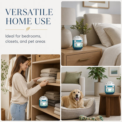 Hjmeta®Indoor Air Purification Dust Removal Magic Box🏠🌿