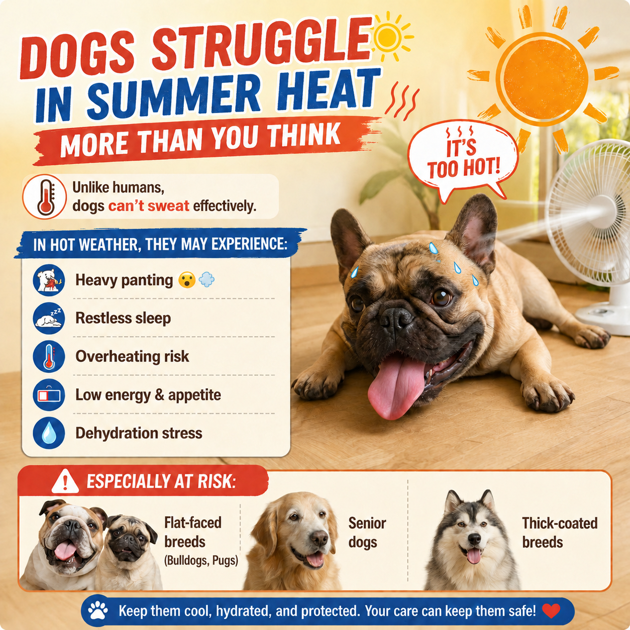 Hjmeta®-🔥Summer Hot Sale 50% OFF🧊Premium Cooling Mat For Pet