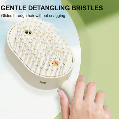 Hjmeta®-Electric Spray & Massage Hair Brush✨🔥