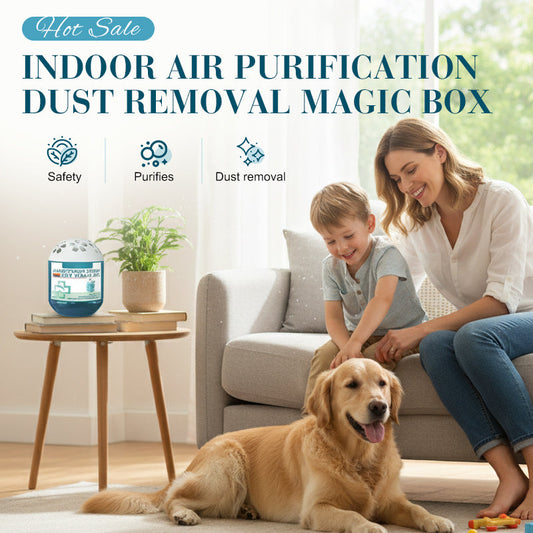 Hjmeta®Indoor Air Purification Dust Removal Magic Box🏠🌿
