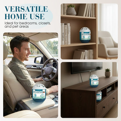 Hjmeta®Indoor Air Purification Dust Removal Magic Box🏠🌿